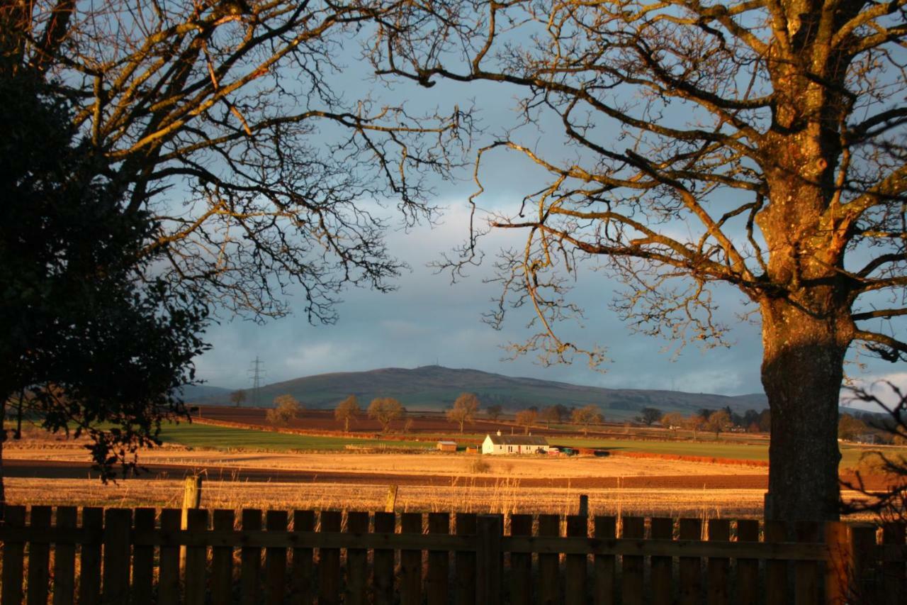 Bed and Breakfast The Highlandman Station Crieff Exteriér fotografie